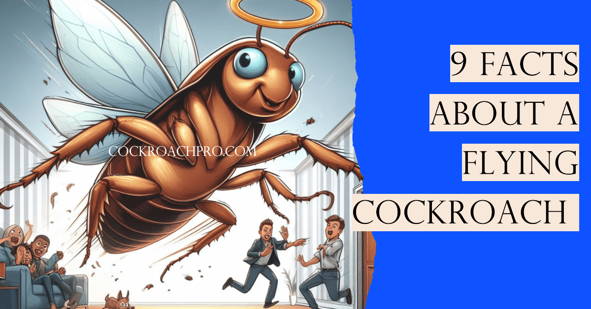 You are currently viewing Flying cockroach: 9 Facts About flying cockroaches