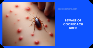 Read more about the article Do cockroaches bite?: The Truth Is Revealed Today
