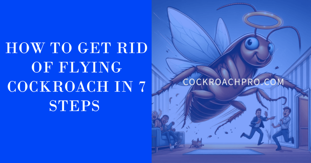 how to get rid of flying cockroach in 7 steps